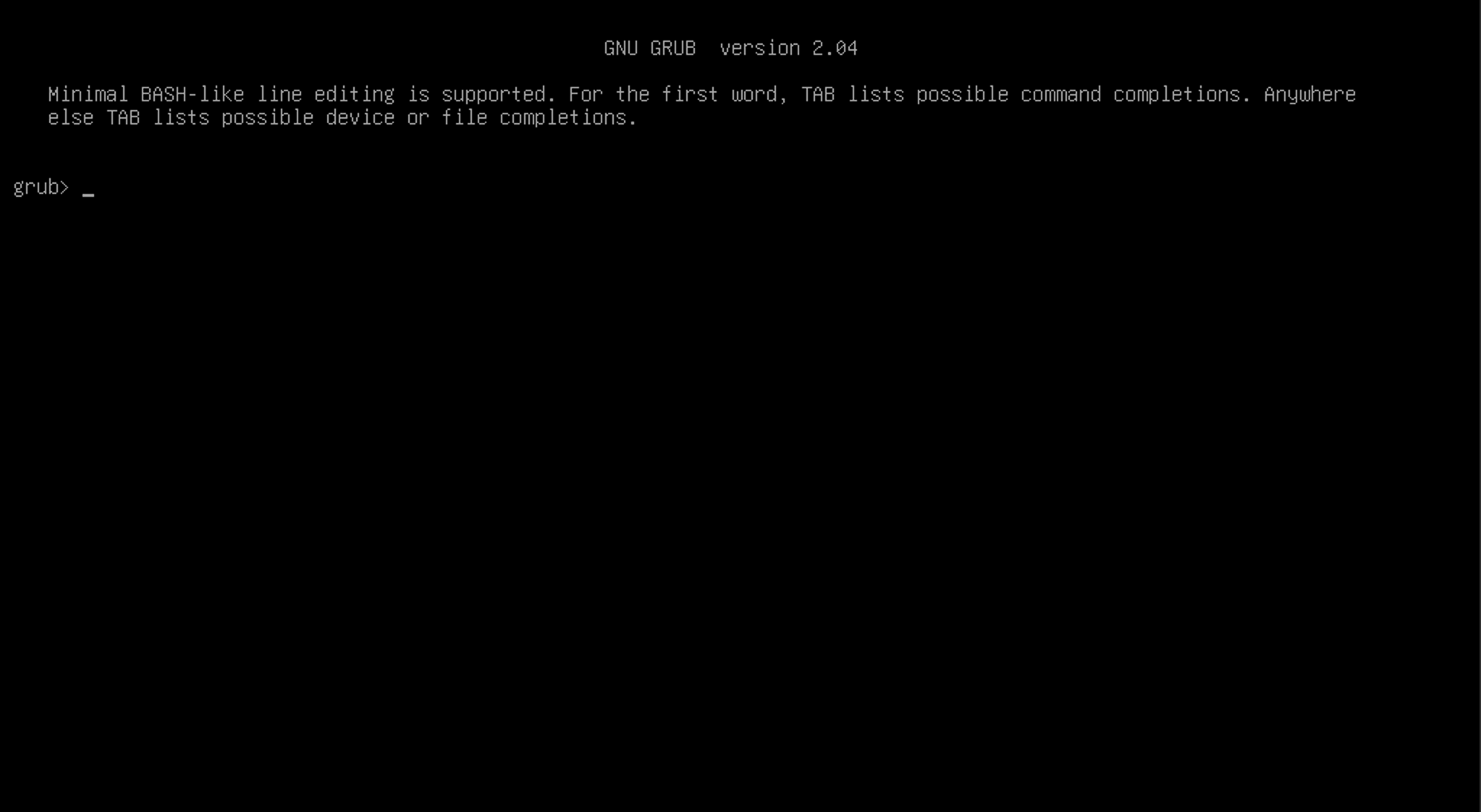 A blank GRUB prompt for GNU GRUB version 2.04.